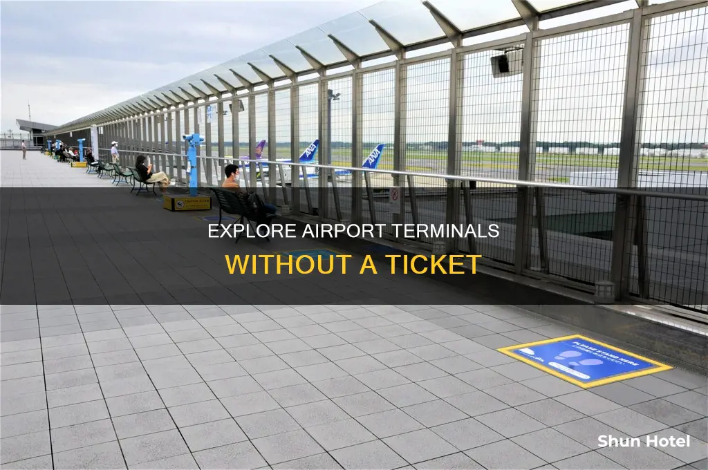 can you enter airport terminals without a ticket