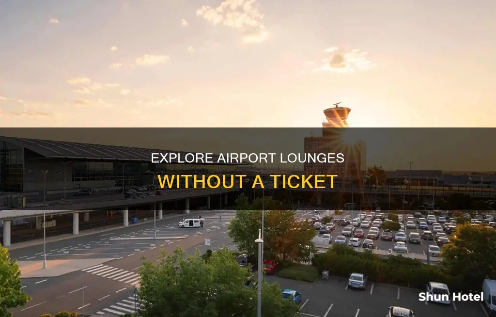 can you enter airport without ticket