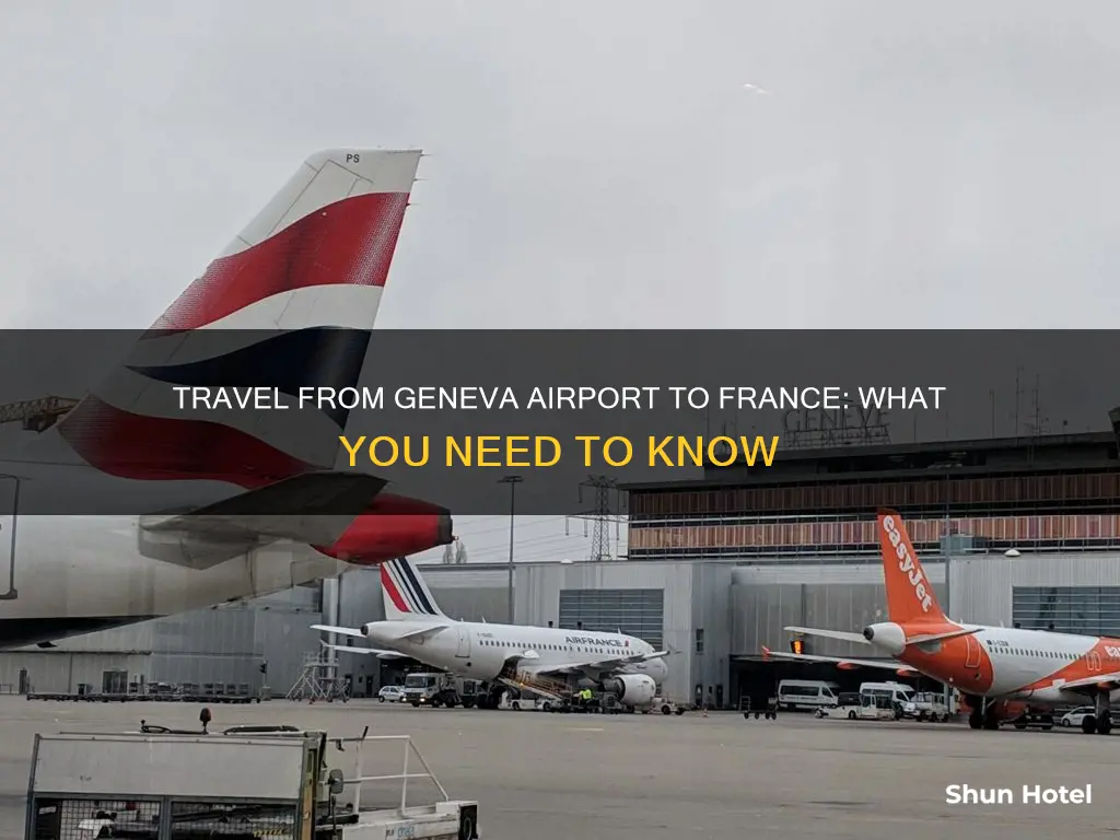 can you enter france from geneva airport