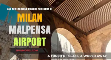 Exchanging Dollars for Euros at Milan Malpensa Airport