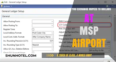 MSP Airport: Exchanging Rupees for Dollars