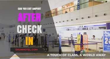 Explore the Airport: Check-in and Beyond