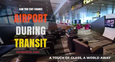 Exploring Changi Airport and Beyond During Transit