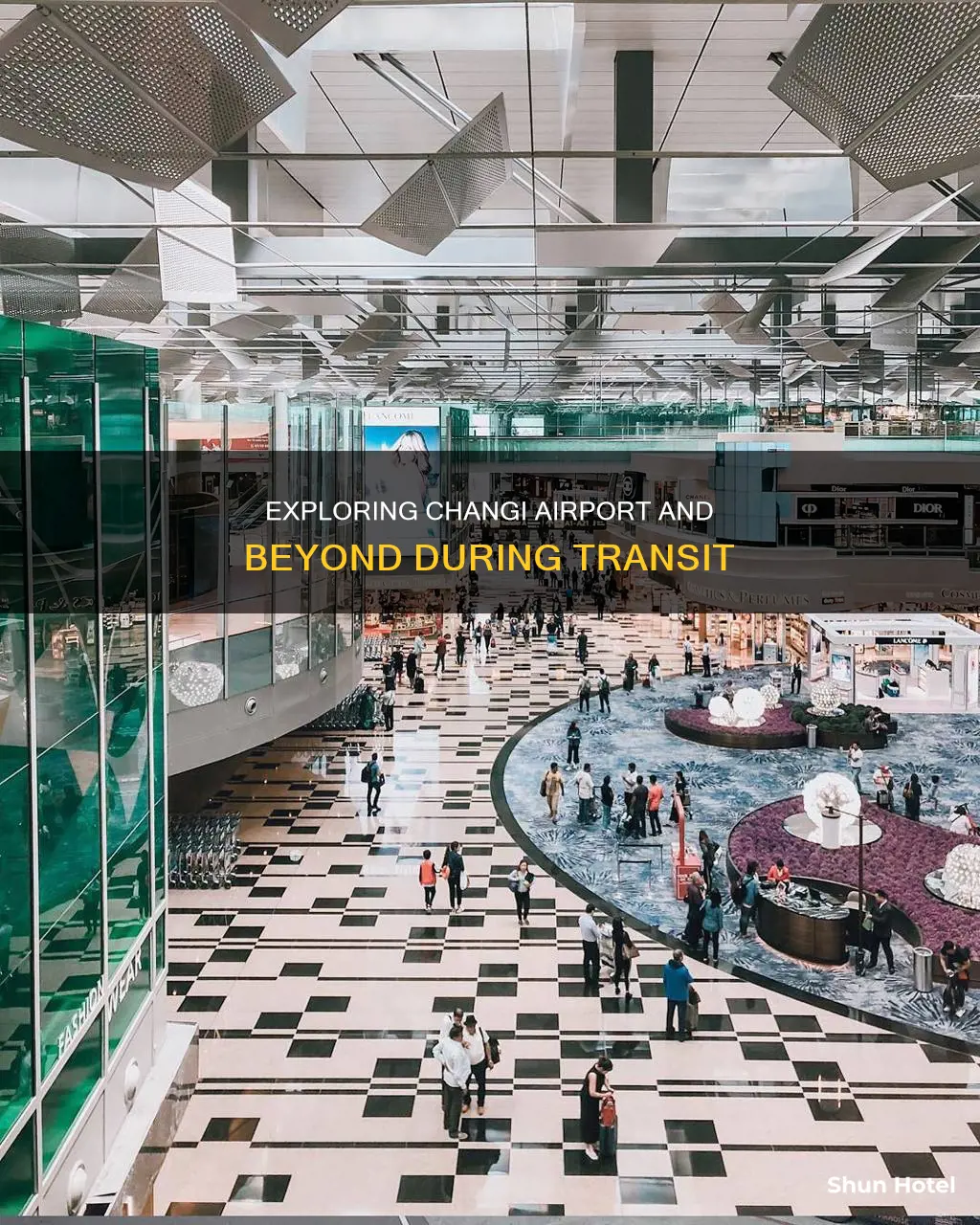 can you exit changi airport during transit