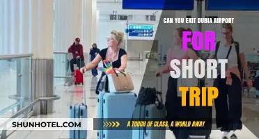 Exploring Dubai on a Layover: Can You Exit?