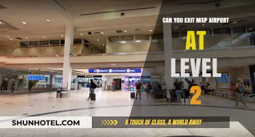 MSP Airport Exit Strategies: Level 2 Access