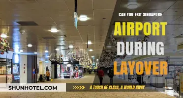 Exploring Singapore: Layover Edition