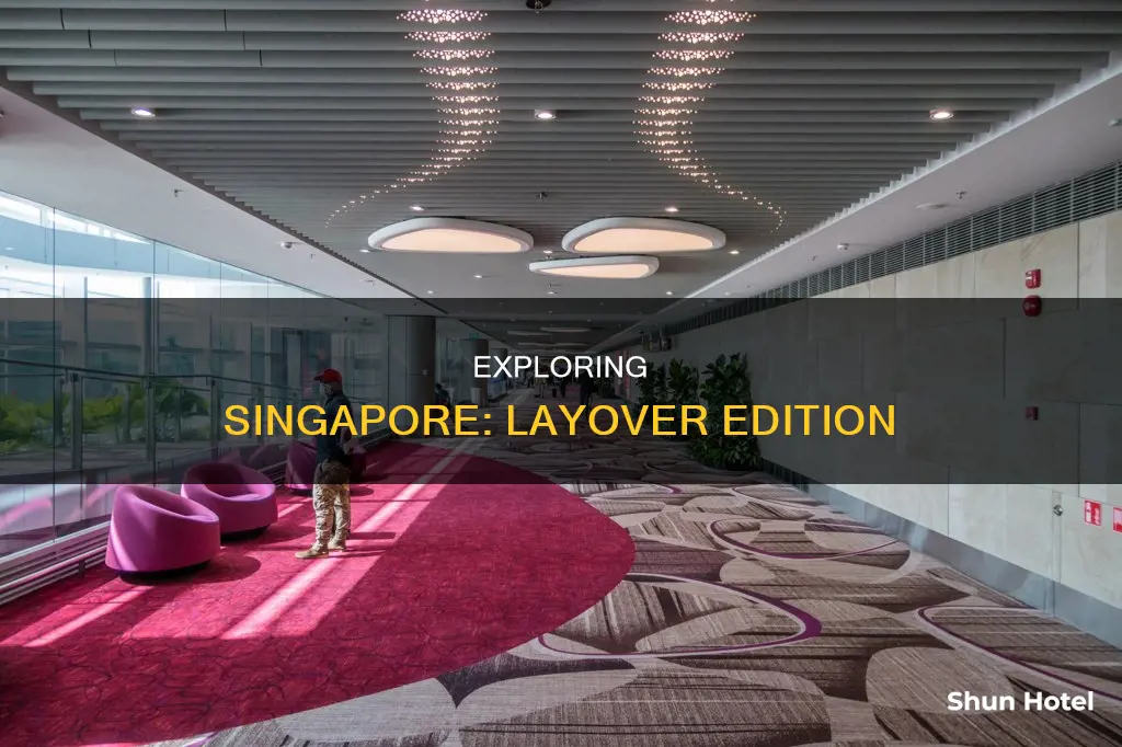 can you exit singapore airport during layover