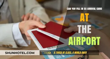 Filling in SG Arrival Card: Airport or Before?