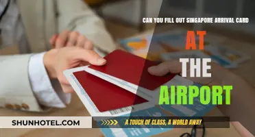 Singapore Arrival Card: Fill Out at Airport?