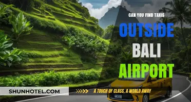 Bali Airport Taxi Services: Available on Arrival?
