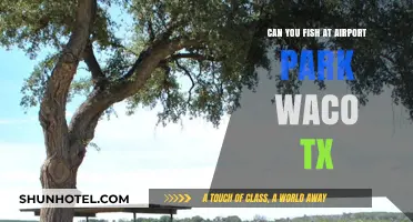 Airport Park Waco: Fishing Fun in Texas