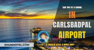 Drone Flying Rules at Carlsbad Palomar Airport