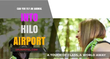 Bringing Pets to Hawaii: Flying into Hilo Airport