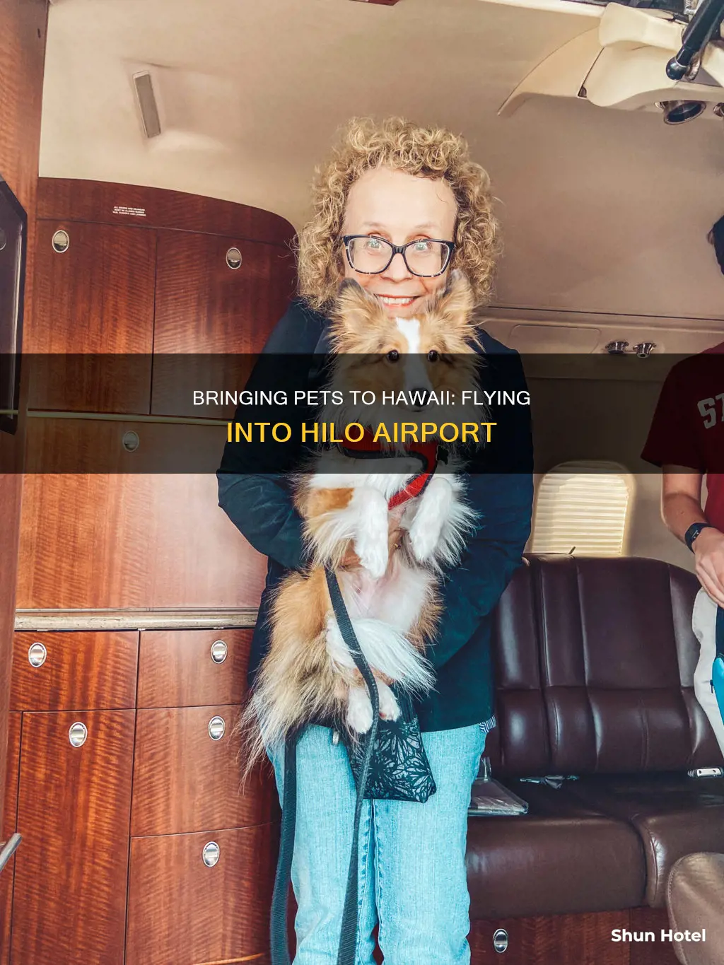 can you fly an animal into hilo airport