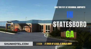 Regional Airports in Statesboro, GA: Can You Fly?