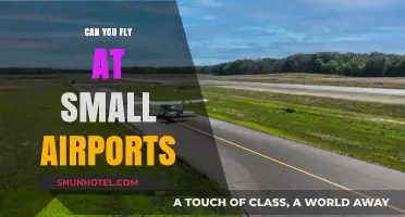 Small Airports: Can You Fly There?