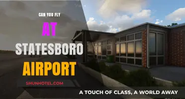 Statesboro Airport: Can You Fly There?