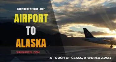 Exploring Flights: Libre to Alaska