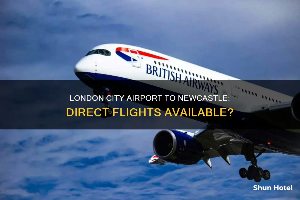 can you fly from london city airport to newcastle