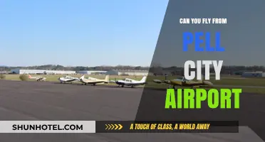 Pell City Airport: Can You Fly Out?