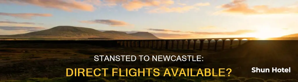 can you fly from stansted airport to newcastle