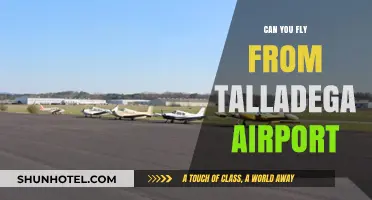 Exploring Talladega: Can You Fly There?