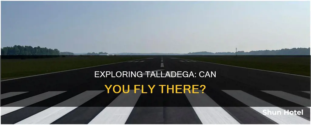 can you fly from talladega airport