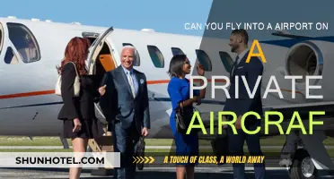 Private Aircraft: Can You Land at Any Airport?