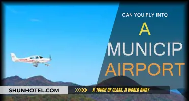 Municipal Airports: Can You Fly In?