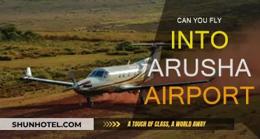 Arusha Airport: International Flights and Travel Options