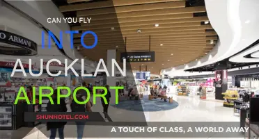 Auckland Airport: What You Need to Know About Flying In