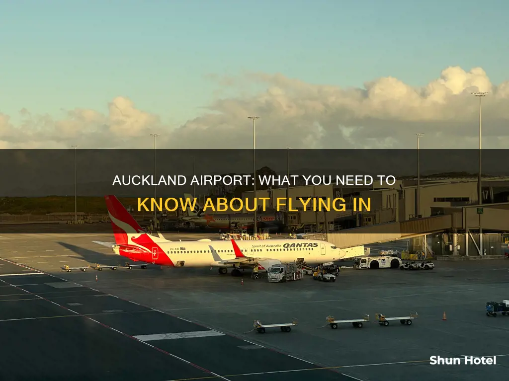 can you fly into auckland airport