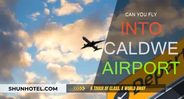 Exploring Caldwell Airport: Can You Fly In?