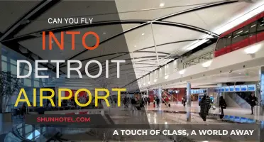 Detroit Airport: Can You Fly In?