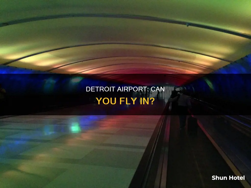 can you fly into detroit airport