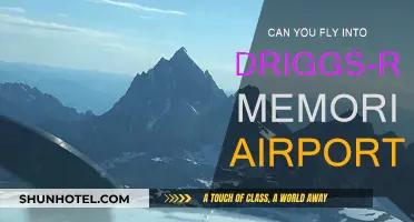 Driggs-Reed Memorial Airport: Can You Fly In?