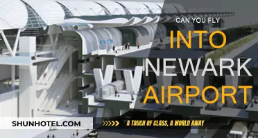 Newark Airport: Can You Fly In?