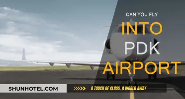 How to Get to PDK Airport by Plane