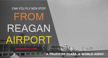 Non-Stop Flights: Reagan Airport's Direct Connections