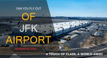 JFK Airport: International Flights and Beyond