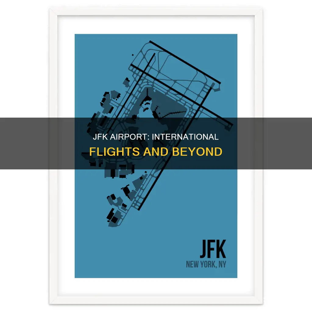 can you fly out of jfk airport