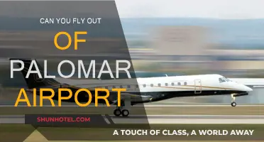 Palomar Airport: A Viable Flight Option?