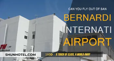San Bernardino Airport: International Flights Available?