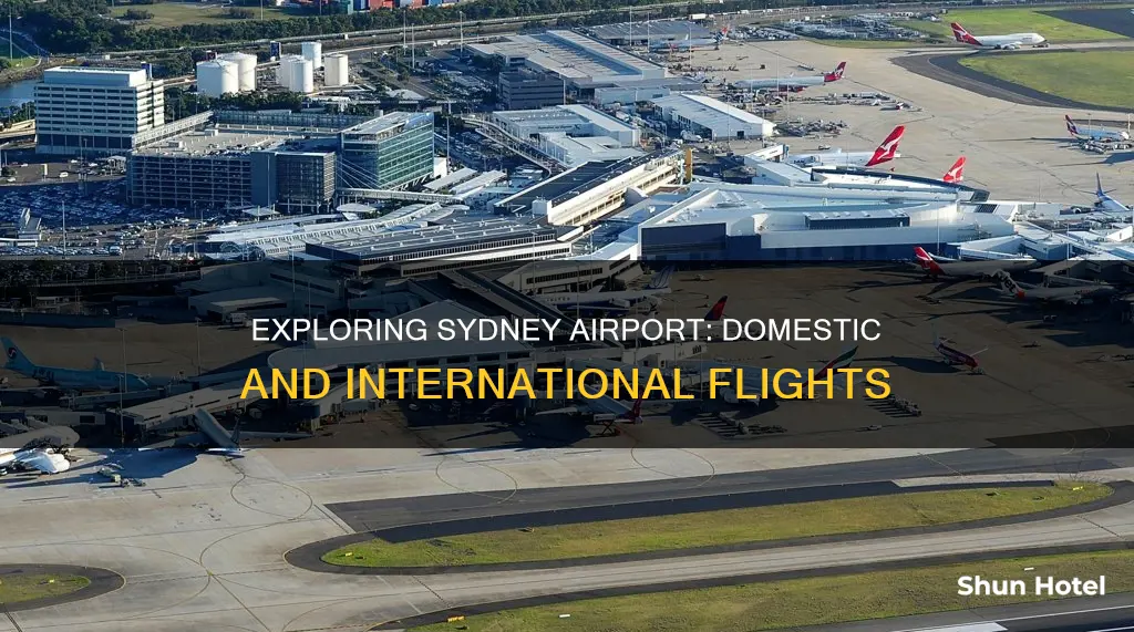 can you fly out of sydney airport