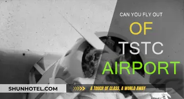 How to Fly Out of TSTC Airport