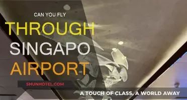 Singapore Airport: A Transit Hub for Travelers