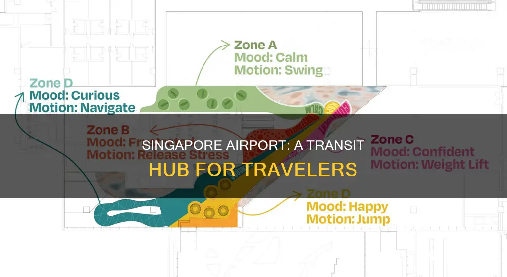 can you fly through singapore airport