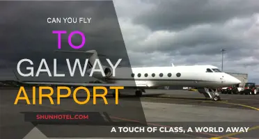 Exploring Flights to Galway Airport: Is It Possible?