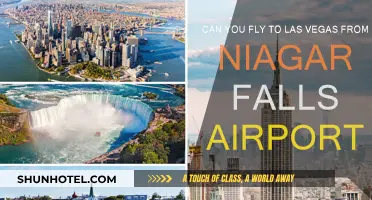 Exploring Travel Options: Niagara Falls to Las Vegas